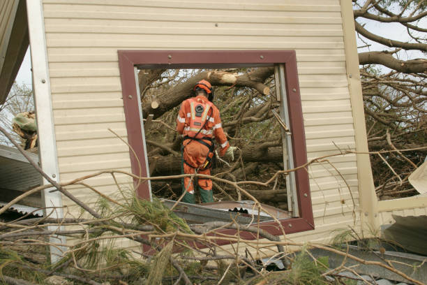 How Our Tree Care Process Works  in  Stafford Courthouse, VA